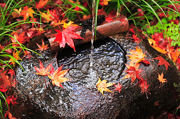 Nature, Water, Autumn, Leaves, Rock, Stone, Jet HD wallpaper