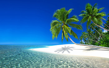 Maldives Beach, sea, sky, sand, palmtrees HD wallpaper