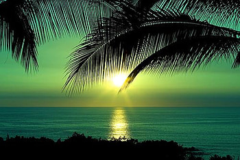 Beach Sunset, graphy, sunsets, beaches, nature, beauty HD wallpaper