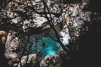 Nature, Water, Stones, Lake, Branches HD wallpaper