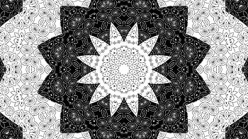 Black White Flower Art Fractal Pattern Shapes Abstract HD wallpaper