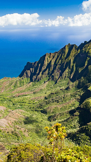 Aerial view, Majestic beauty, Kauai paradise, Nature's wonders HD phone wallpaper