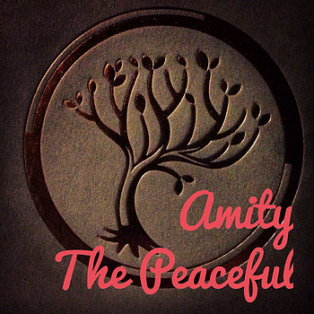 Amity faction, Peaceful community, Utopian society, Harmonious existence HD phone wallpaper