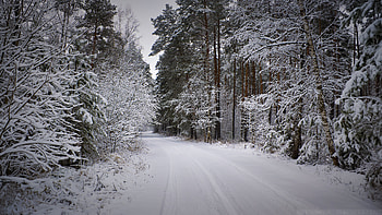 Winter, Nature, Snow, Road, Forest, Snow Covered, Snowbound HD wallpaper