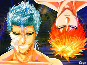 Grimmjow and Ichigo, grimmjow, bleach, ichigo, kurosaki HD wallpaper