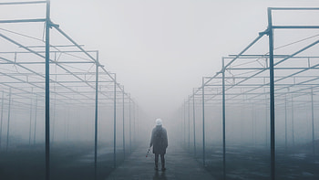 Where Is You , alone, fog, graphy, artstation HD wallpaper