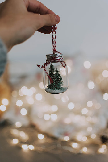Holidays, New Year, Bank, Christmas, Jar, Christmas Tree, Decoration HD phone wallpaper