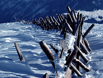 Nature, Mountains, Snow, Fence, Hedge, Logs HD wallpaper