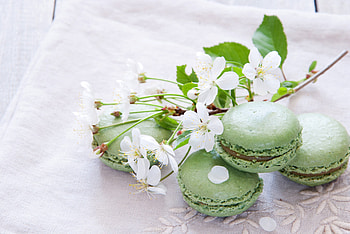 Macaron wonders, High-definition , Immersive visuals, Stunning and captivating HD wallpaper