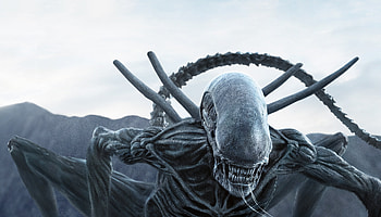 Alien In Alien Covenant, alien-covenant, 2017-movies, movies, alien HD wallpaper