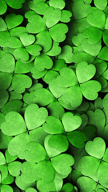 Clover, Leaves HD phone wallpaper