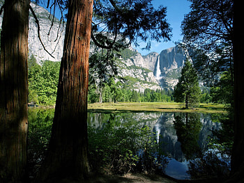 Nature, Trees, Mountains, Lake, Waterfall, Trunks HD wallpaper
