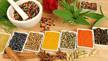 Herbal wonders, , Botanical beauty, Serene backgrounds HD wallpaper