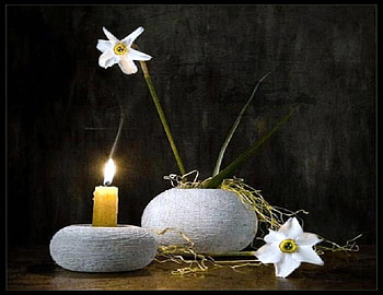 White pair and candle - still life, white, black background, pair, flowers, containers, candle light HD wallpaper
