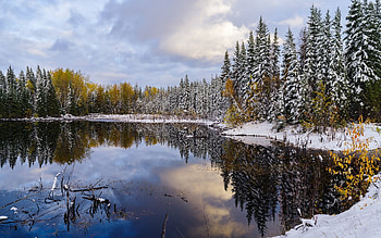 Lake in Canada, winter, spruces, Canada, lake HD wallpaper