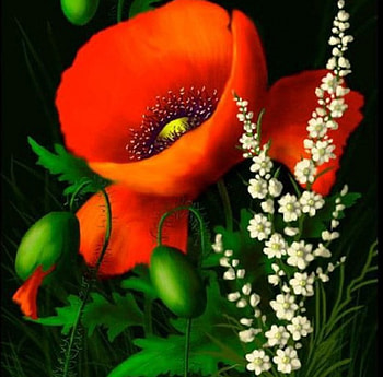 Flowers Bouquet, bouquet, nature, flowers, popy HD wallpaper