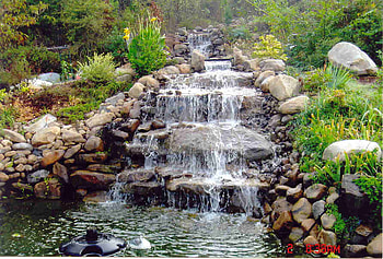 Creek Falls, creek, trees, waterfall, landscaped, clear, rocks HD wallpaper