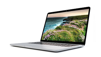 MaDonnas Laptop, sea, , spring, Firefox Persona theme, summer, laptop, nature, flowers, computer HD wallpaper