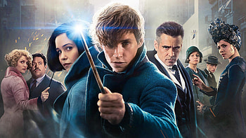 Fantastic Beasts HD wallpaper
