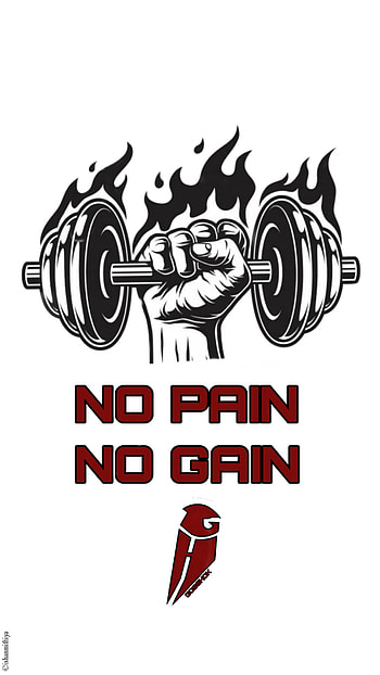 No Pain No Gain, auto_part, symbol, no_pain_no_gain, health, gym, bodybuilding, body, nopainnogain HD phone wallpaper