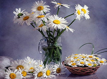 Flowers, Camomile, Bouquets, Jug, Lot, Basket HD wallpaper