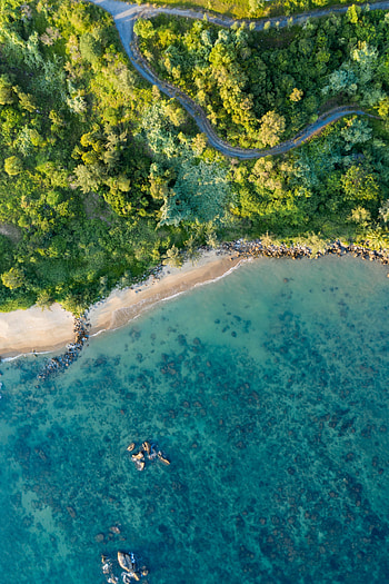 Nature, Trees, Sea, Beach, View From Above, Coast, Vegetation HD phone wallpaper