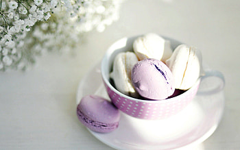 Food, Cup, Plate, Sweets, Macaroon, Makaroun HD wallpaper