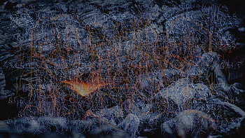 To Some I Have Talked With By The Fire, scripture, obscure, dark, poetry HD wallpaper
