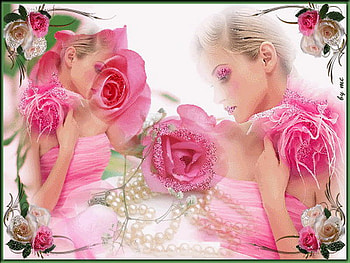 pink haze, pearls, pink, roses, beauty HD wallpaper