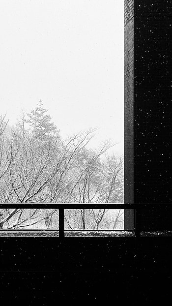 Trees, Snow, Building, Miscellanea, Miscellaneous, Bw, Chb HD phone wallpaper