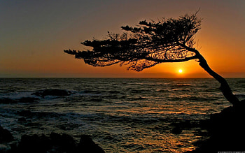 sunset beauty, beachview, sunset HD wallpaper