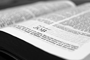 Close-up black and white focusing on a Bible page with the Book of Job. HD wallpaper