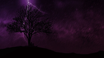 Rain, Night, Lightning, Dark, Silhouette, Wood, Tree, Loneliness HD wallpaper