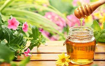 Honey elegance, Beautiful , Sweet and golden, Nature's beauty HD wallpaper