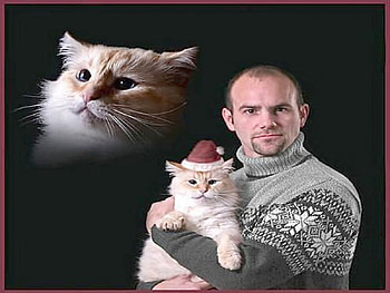 Man and cat, kitten, sweet, kitty, cats, cute, cat, beautiful, paws, beauty, cat face, pretty, animals, face, lovely, hat HD wallpaper