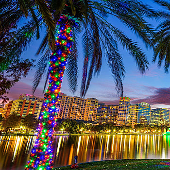 Orlando Skyline, Travels, RV rentals, Florida adventure HD phone wallpaper