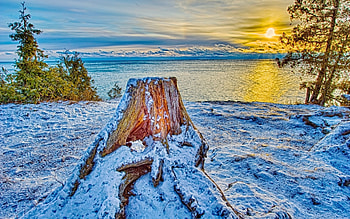 Sunset Reflected in the Ocean, winter, reflection, trees, nature, sunset, ocean HD wallpaper