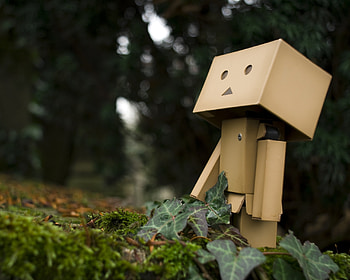 Grass, Miscellanea, Miscellaneous, Close-Up, Stroll, Mood, Danboard HD wallpaper