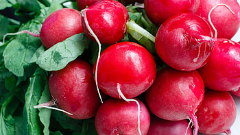 Vegetal ripe , alta definicin, Food HD wallpaper