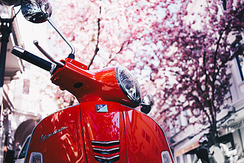 Motorcycles, Sakura, Scooter, Vespa HD wallpaper