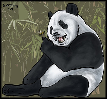 This is for Leo19, grass, nature, bear, animals HD wallpaper