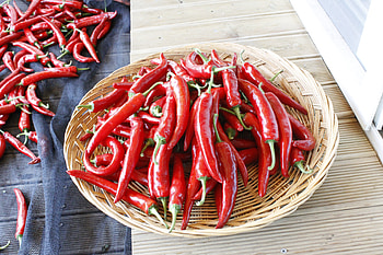 Food, Pepper, Basket, Chile HD wallpaper