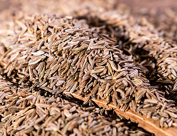 High-quality caraway, Buy caraway seeds, Competitive price, Premium spice HD wallpaper