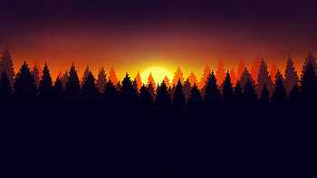 Forest Early Morning, forest, morning, artist, artwork, digital-art HD wallpaper