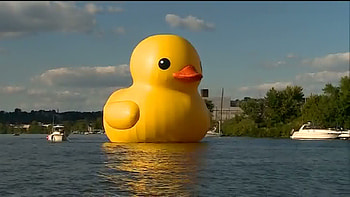 For > Rubber Duck HD wallpaper