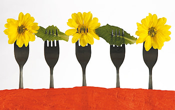 yellow flowers, flowers, fork, pretty, yellow HD wallpaper