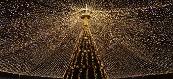 Holidays, Shine, Light, Christmas Tree, Garland, Decoration, Garlands HD wallpaper