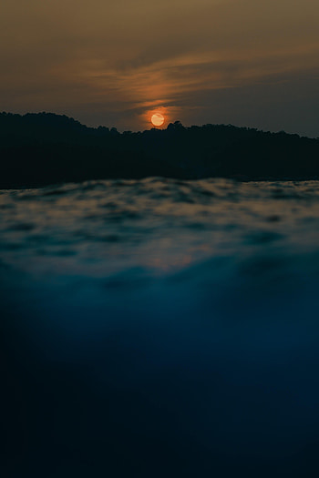 Nature, Trees, Sunset, Sea, Sun, Blur, Smooth HD phone wallpaper