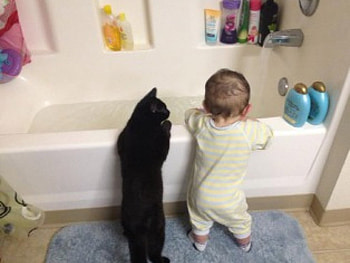 WHO'S HAVING A BATH, BABY, TIME, KITTEN, BATH HD wallpaper