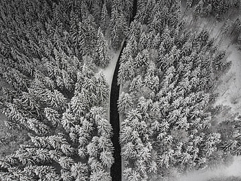 Winter, Nature, Trees, Snow, View From Above, Road HD wallpaper